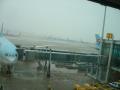 Airport Shot