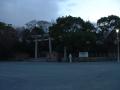 Torii
